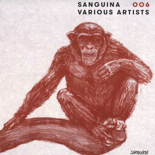 SNG006 Various Sanguina 006